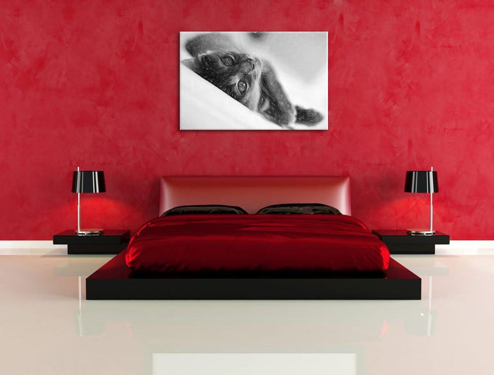 Pixxprint Niedliche Katze Liegt im Bett Bunstift Effekt, Format: 100x70 auf Leinwand, XXL riesige Bi