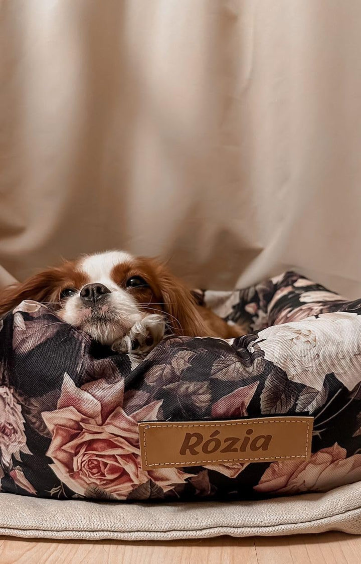 Petsen Hunde Personalisiert Autositz, Autositze Hund Rückbank mit Leine, Hundeautositz mit Hundename