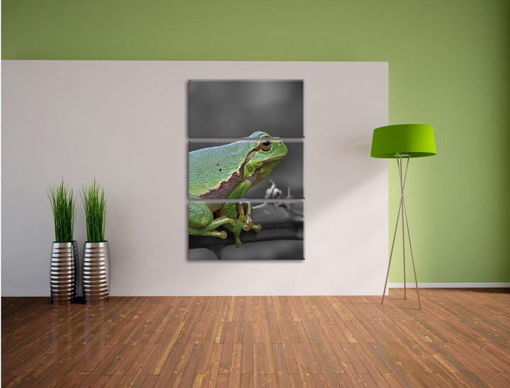 Pixxprint winziger Frosch auf Dornenast als Leinwandbild/Grösse: 3 Teilig (120x80) / Wandbild/Kunstd