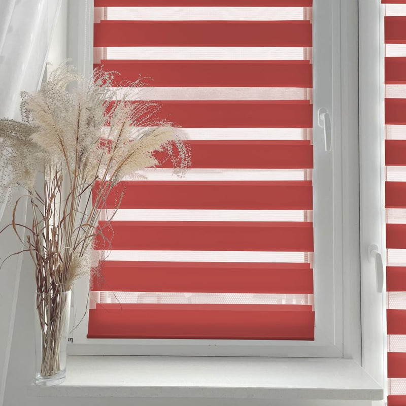 Home-Vision® DuoRollo Klemmfix, Doppelrollo ohne Bohren mit Klämmträgern, Rollos für Fenster und Tür