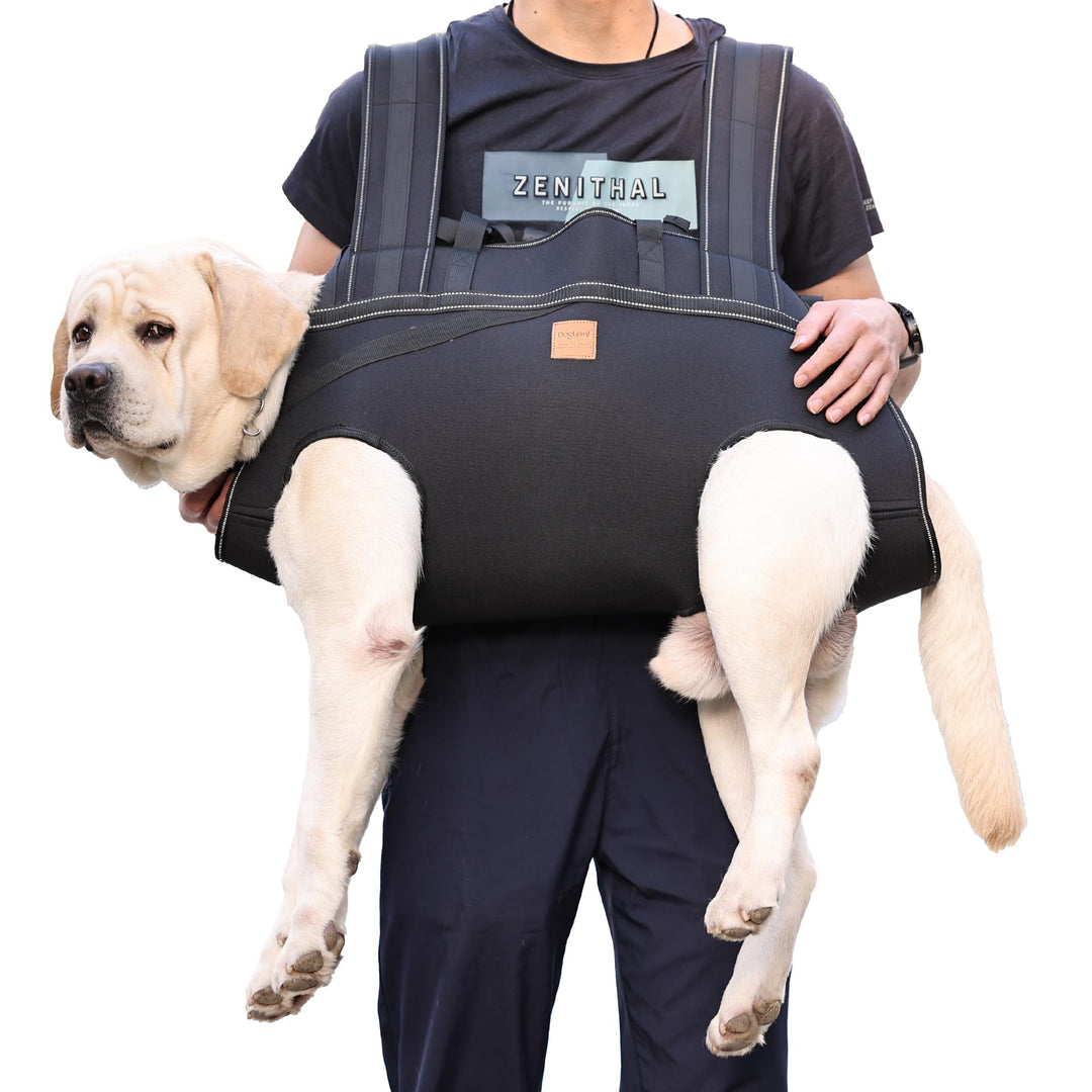 Grosse Hundetragetasche, Hunderucksack, Haustierbeinstütze, Hundegeschirr, Tragetasche für ältere Hu