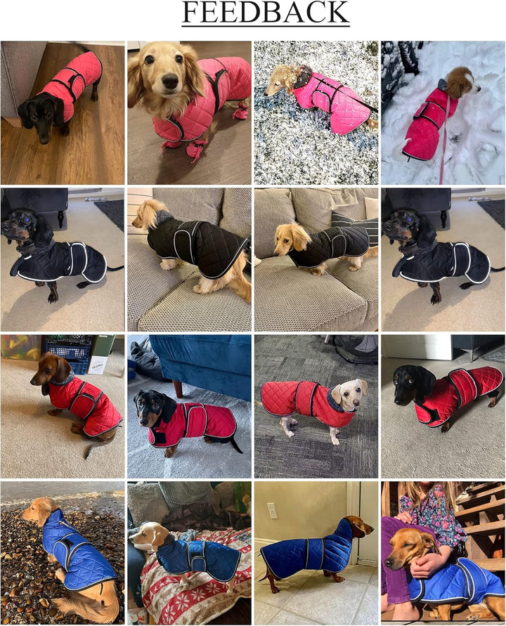 Geyecete - Warmer wintermantel für dackel Hunde,Hunde Winterjacken mit plüschfutter,Outdoor jacken m