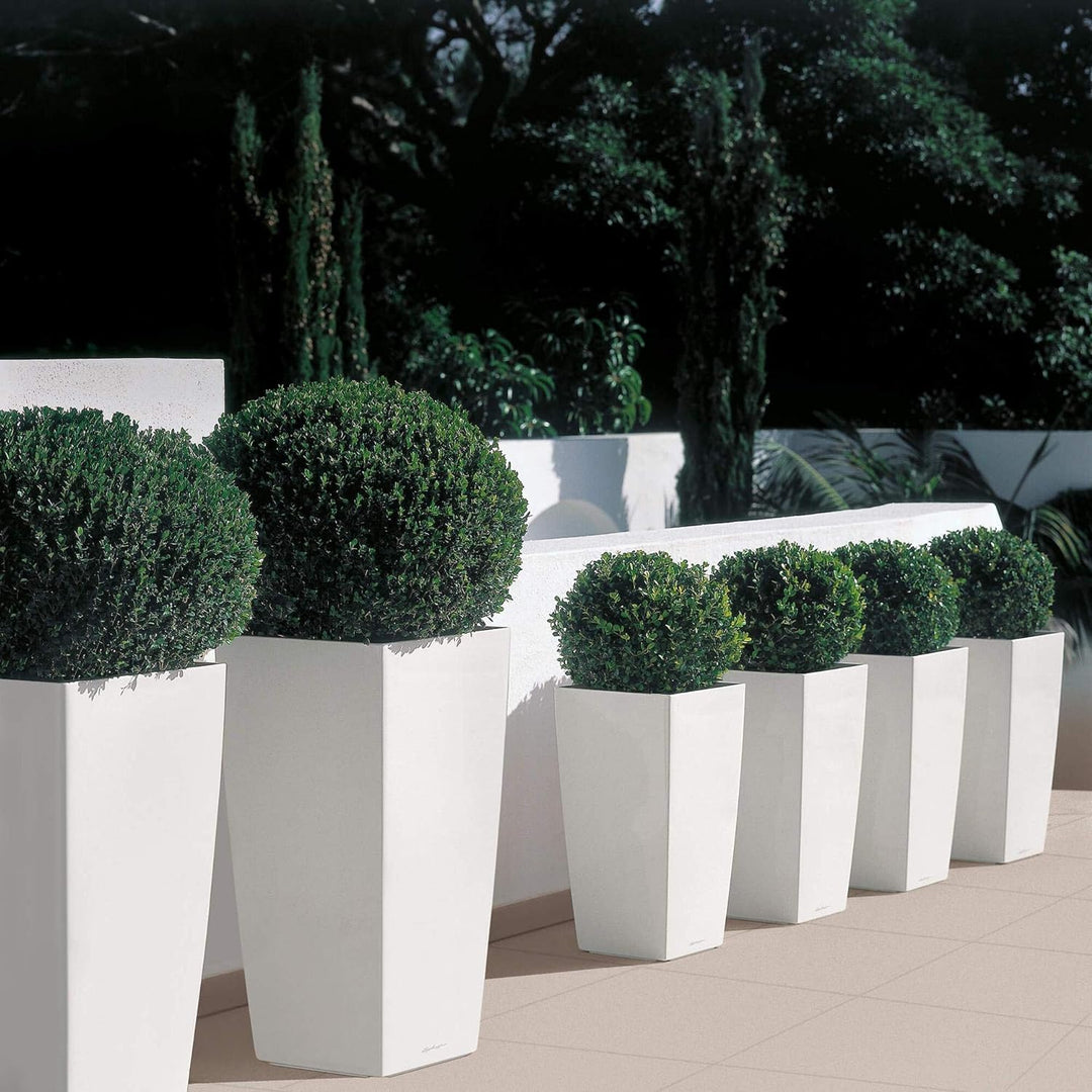 LECHUZA CUBICO Premium 30 silber metallic 18185 29.5x29.5x56.5 cm Silber Metallic, 29.5x29.5x56.5 cm