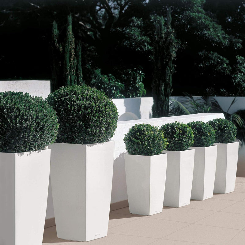 LECHUZA CUBICO Premium 30 anthrazit metallic 18184 29.5x29.5x56.5 cm Anthrazit Metallic, 29.5x29.5x5