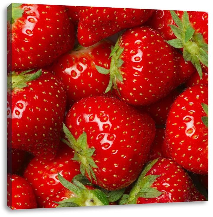 Leckere frische Erdbeeren, Format: 70x70 auf Leinwand, XXL riesige Bilder fertig gerahmt mit Keilrah