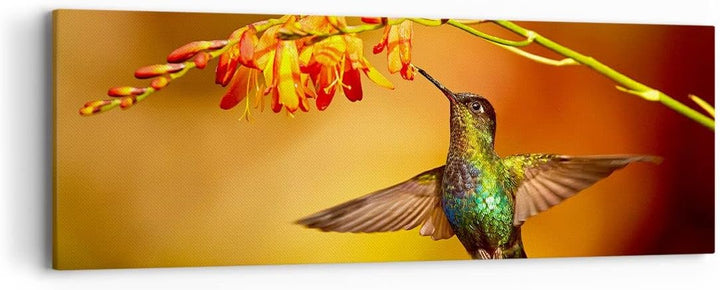 Panorama Bilder auf Leinwand Kolibri Vogel Sommer Leinwandbild 90x30cm Wandbilder Dekoration Wohnzim