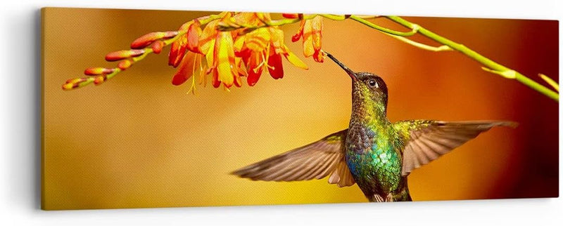 Panorama Bilder auf Leinwand Kolibri Vogel Sommer Leinwandbild 90x30cm Wandbilder Dekoration Wohnzim