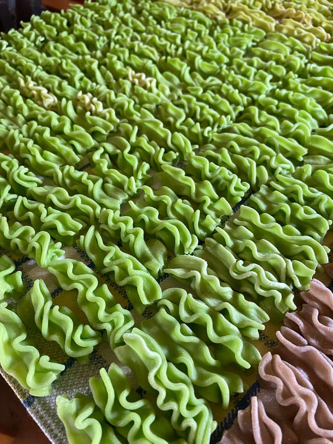 MY PASTA - Frigitelli/gewellte Fusilli - Pastamaker Matrizen Pastadisc Avance Matrize für hausgemach