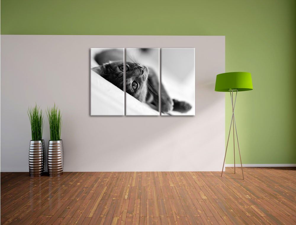 Pixxprint Niedliche Katze liegt im Bett 3-Teiler Leinwandbild 120x80 Bild auf Leinwand