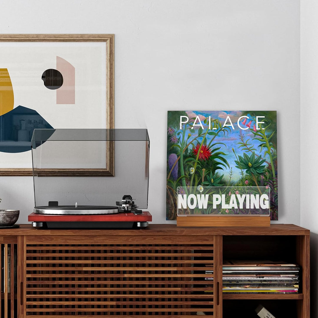 Ammonite Beleuchten Now Playing Vinyl-Schallplattenständer, Plattenständer, hölzerne Acryl-Halter fü