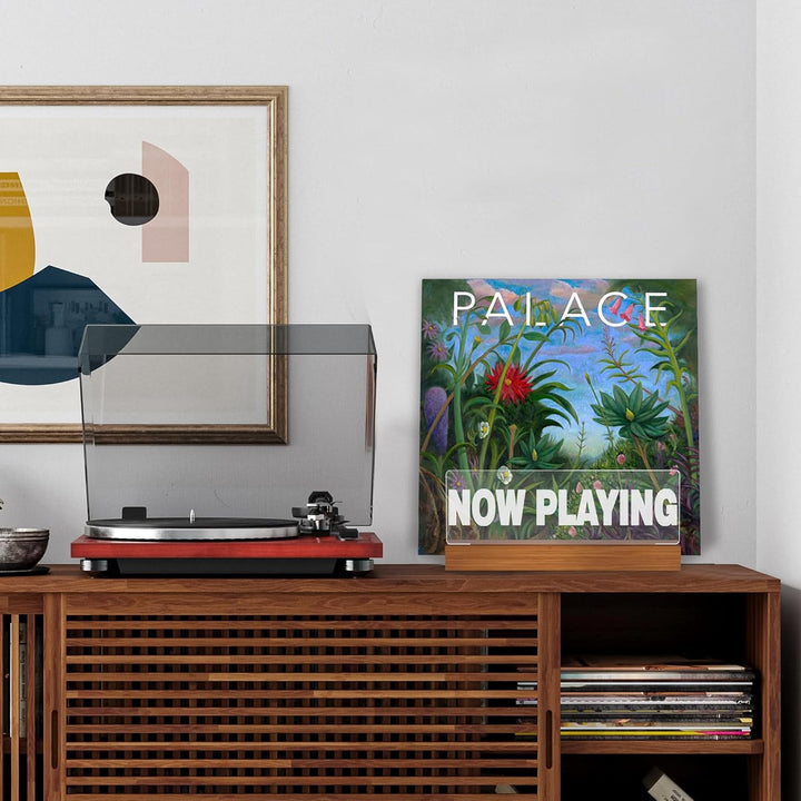 Ammonite Beleuchten Now Playing Vinyl-Schallplattenständer, Plattenständer, hölzerne Acryl-Halter fü