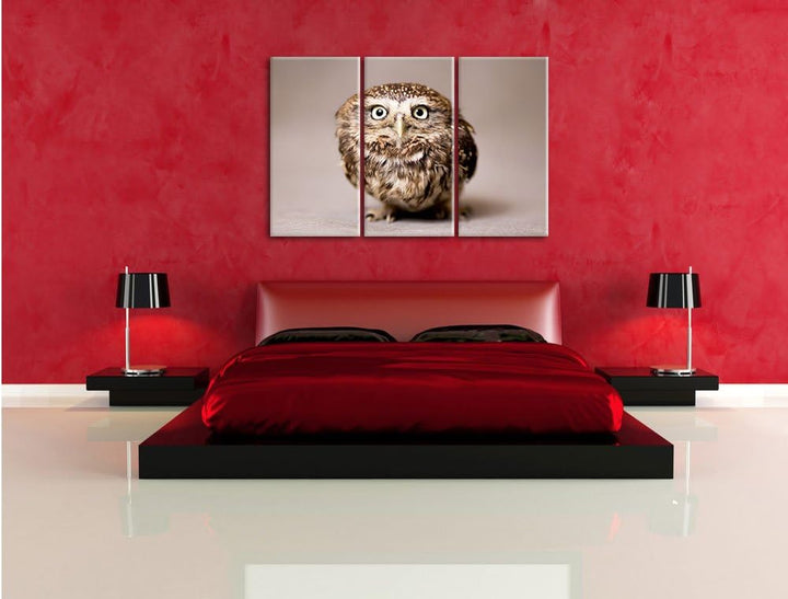Pixxprint Niedliche Nachteule mit süssem Blick 3-Teiler Leinwandbild 120x80 Bild auf Leinwand
