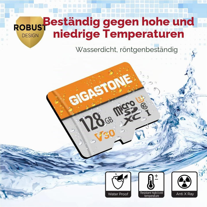 Gigastone 128GB MicroSDXC Speicherkarte 10er-Pack + SD Adapter, für Gopro, Action-Kamera, Drohne, DJ