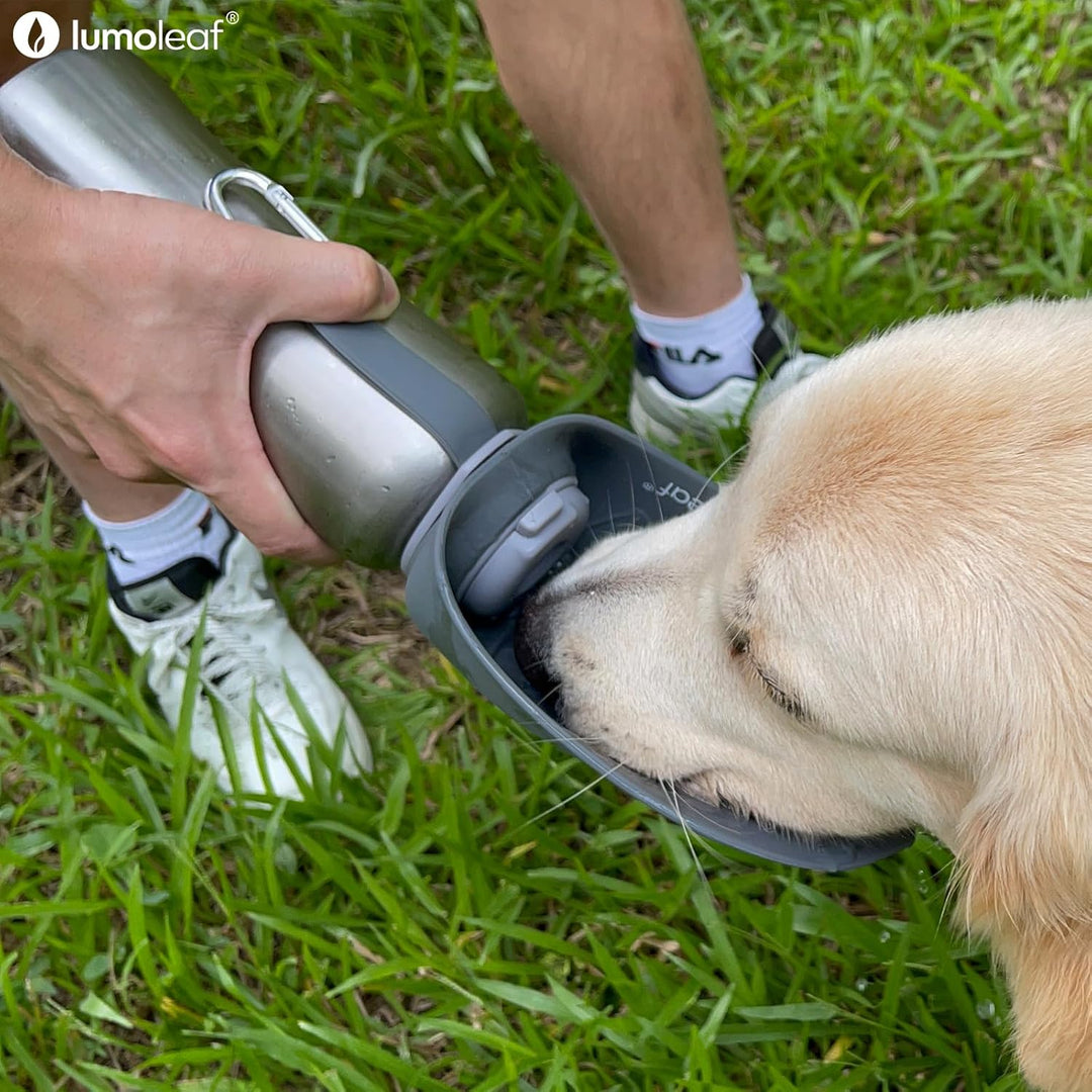 LumoLeaf Hundetrinkflasche für unterwegs, 800ml Edelstahl Trinkflasche Hund, Tragbare Haustier Wasse