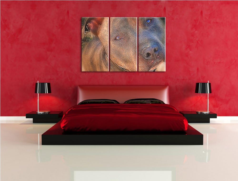 schöner Pit Bull Terrier NewArt 3-Teiler Leinwandbild 120x80 Bild auf Leinwand, XXL riesige Bilder f