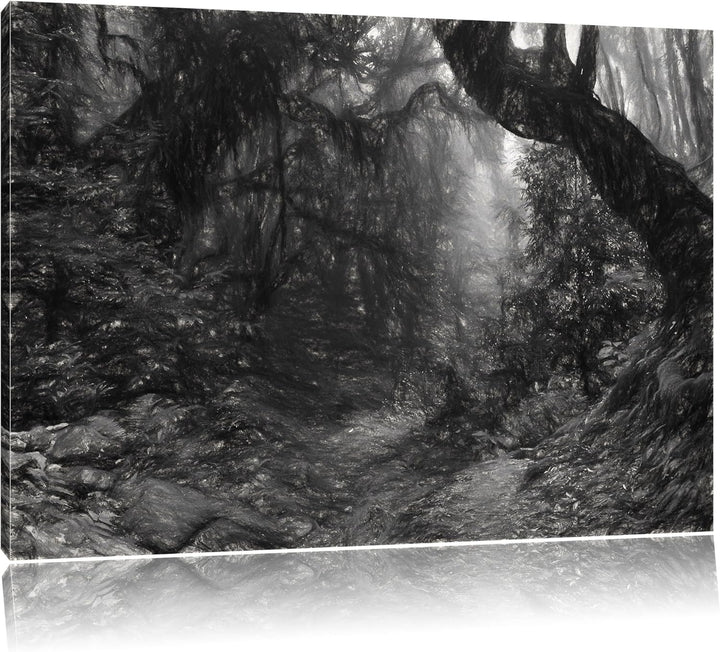 Pixxprint Mystischer Regenwald als Leinwandbild/Grösse: 100x70 cm/Wandbild/Kunstdruck/fertig bespann