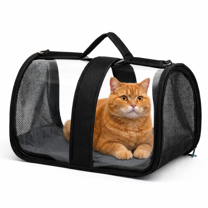 Blue Eyes Transportbox Katze Hund Faltbare Katzentransportbox Transparent Transporttasche für Hausti