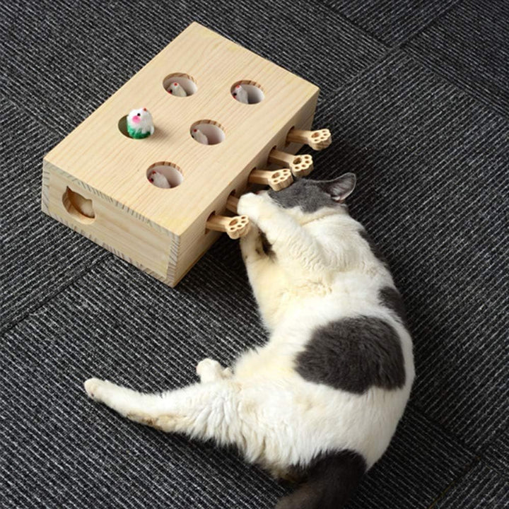 Interaktives Katzenspielzeug, Holz, Spielzeug, Maulwurf Maus, Puzzle Box mit süssen Cartoon Spielzeu