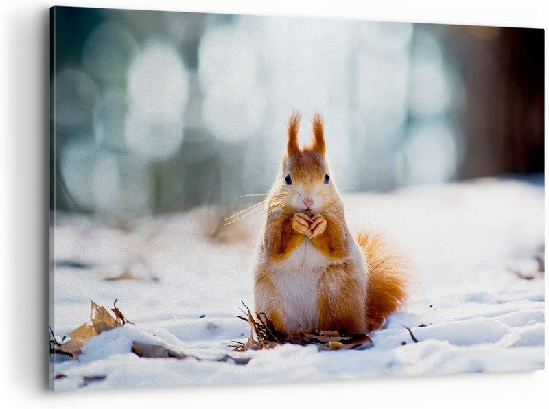 Bilder auf Leinwand 100x70cm Leinwandbild Eichhörnchen Winter Schnee Essen Gross Wanddeko Bild Schla