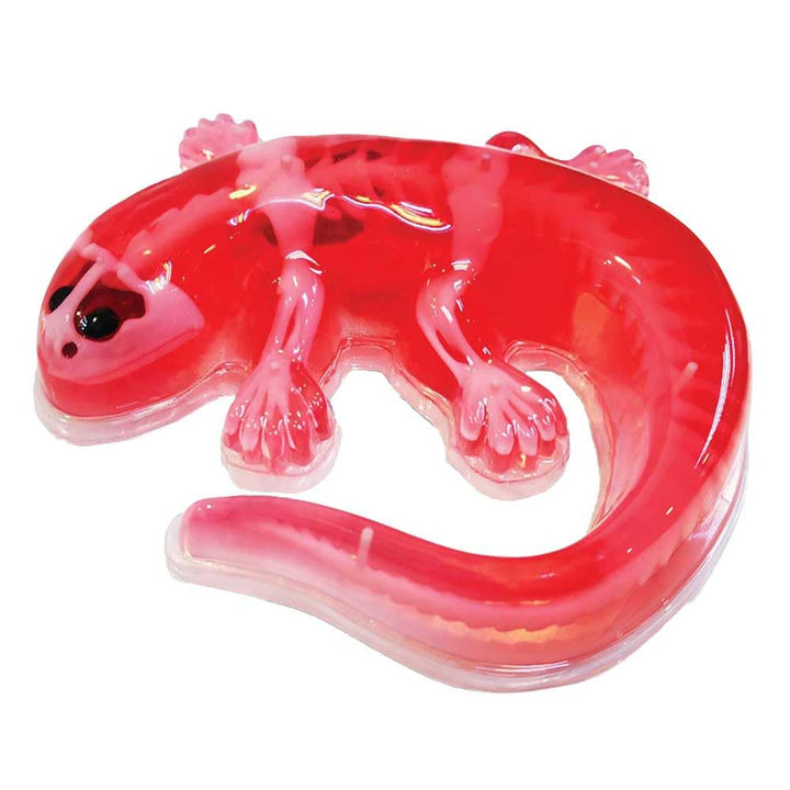 Original SLIMY Lab Dissect-IT Salamander - Experimentieren & Forschen Sezier-Set - Schleim Labor, pr