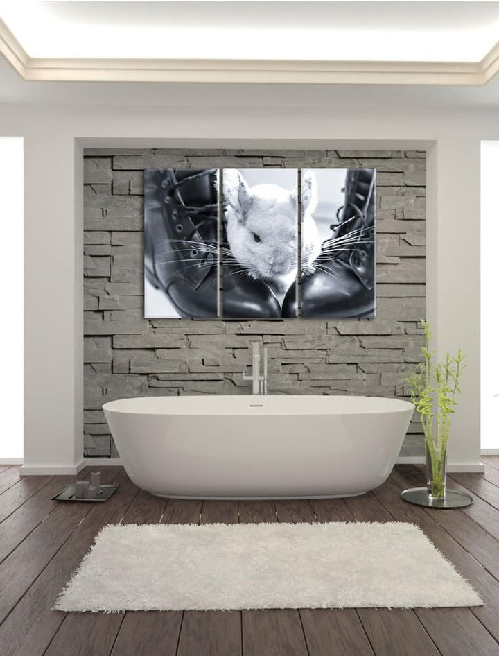 Pixxprint Chinchilla zwischen Schuhen als Leinwandbild/Grösse: 3 Teilig (120x80) cm/Wandbild/Kunstdr
