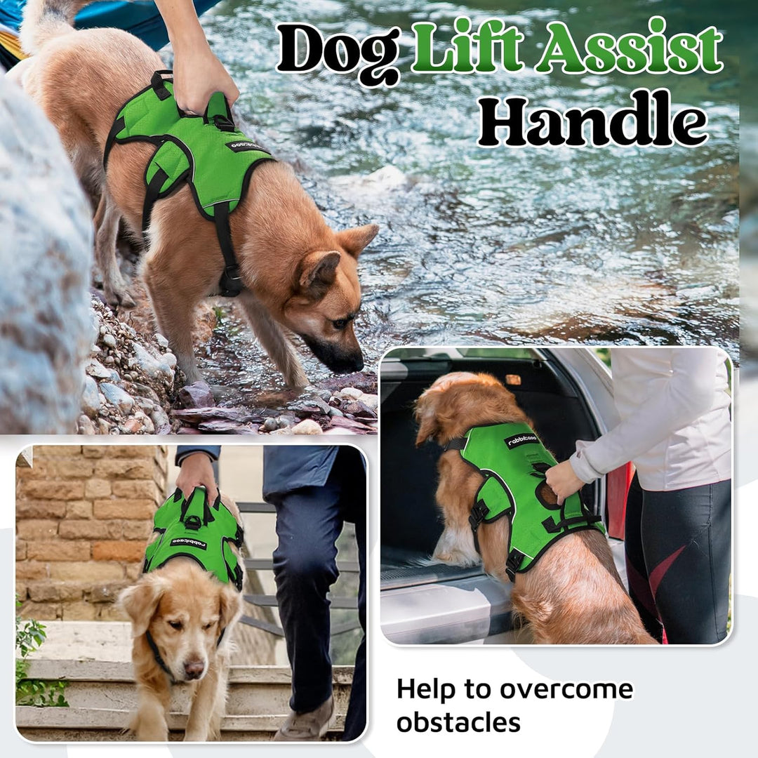 rabbitgoo Ausbruchsichere Hundegeschirr Grosse Hunde mit Griff, Anti Zug Sicherheitsgeschirr Hund At
