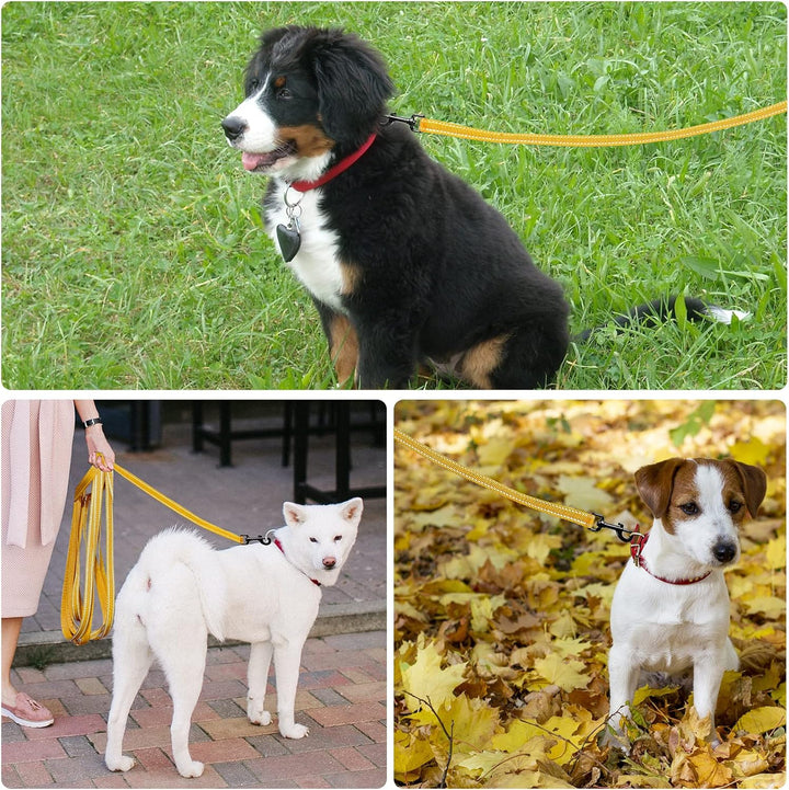 Demigreat Schleppleine für Hunde, 3m / 5m / 10m / 15m / 20m Robuste Lange Hundeleine Reflektierend T