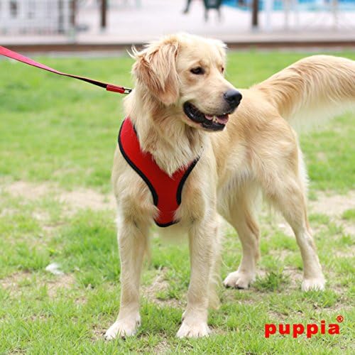 Puppia Hundegeschirr für kleine und mittelgrosse Hunde - super weich in vielen Farben - Auch als Wel