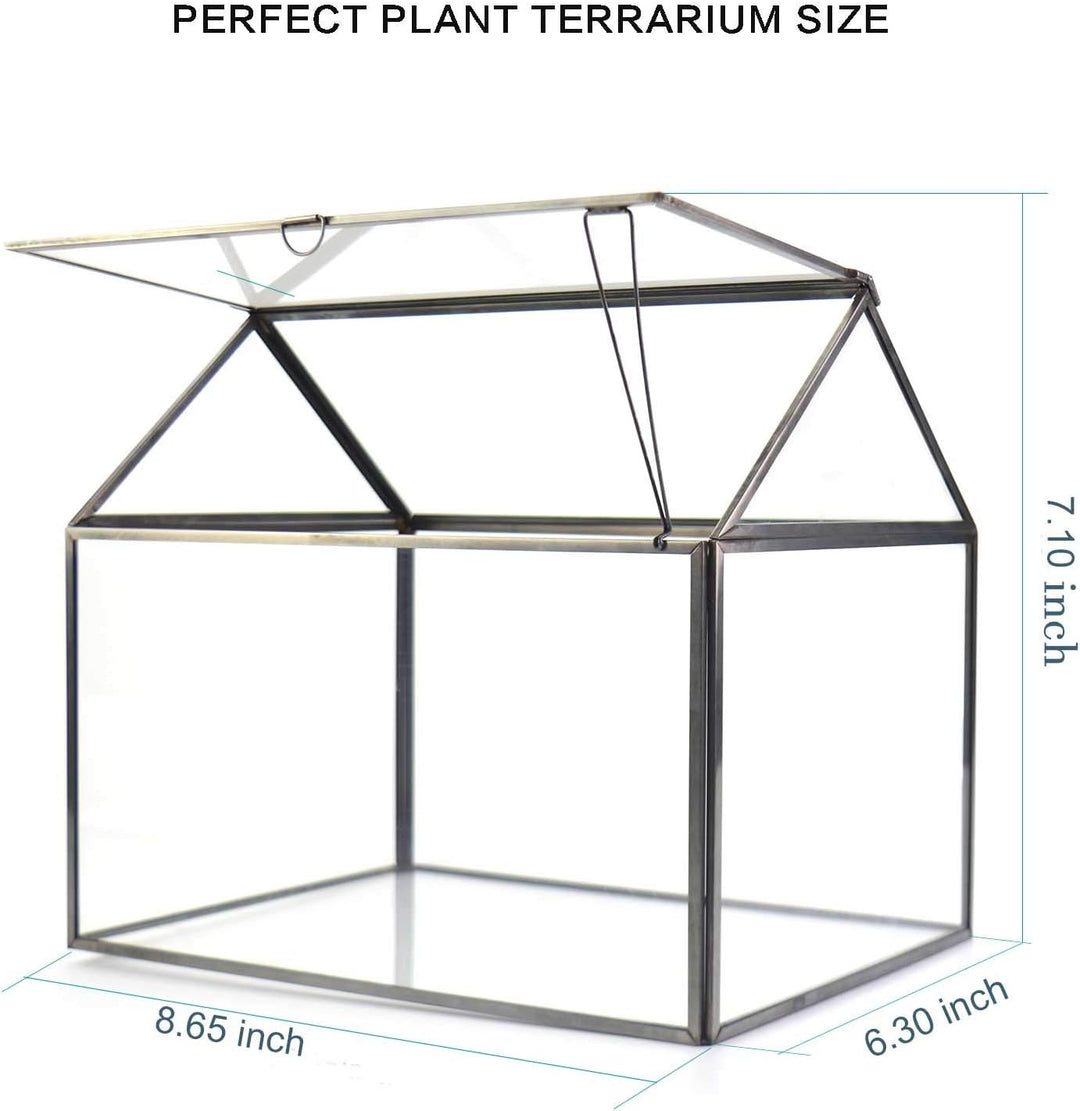 Grosses Glas Pflanze Terrarium - Haus Sukkulenten Glas Terrarium Kit mit Lippe Glas Gewächshaus Terr