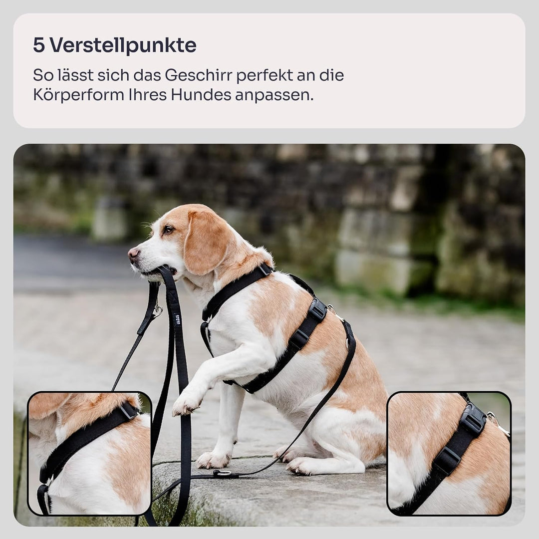 Chaba Guard Hundegeschirr für kleine Hunde mit Kontrolle, Anti-Zug & Würgen, Einstellbar, Bequem und