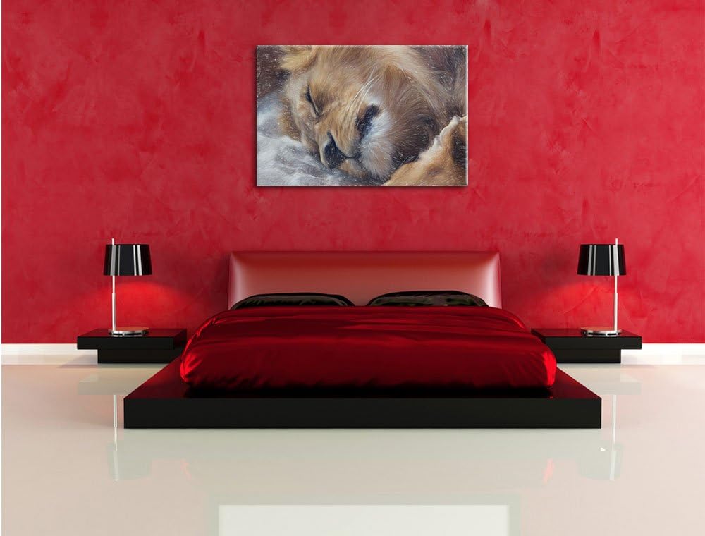 Pixxprint schlafender Löwe als Leinwandbild | Grösse: 100x70 cm | Wandbild | Kunstdruck | fertig bes