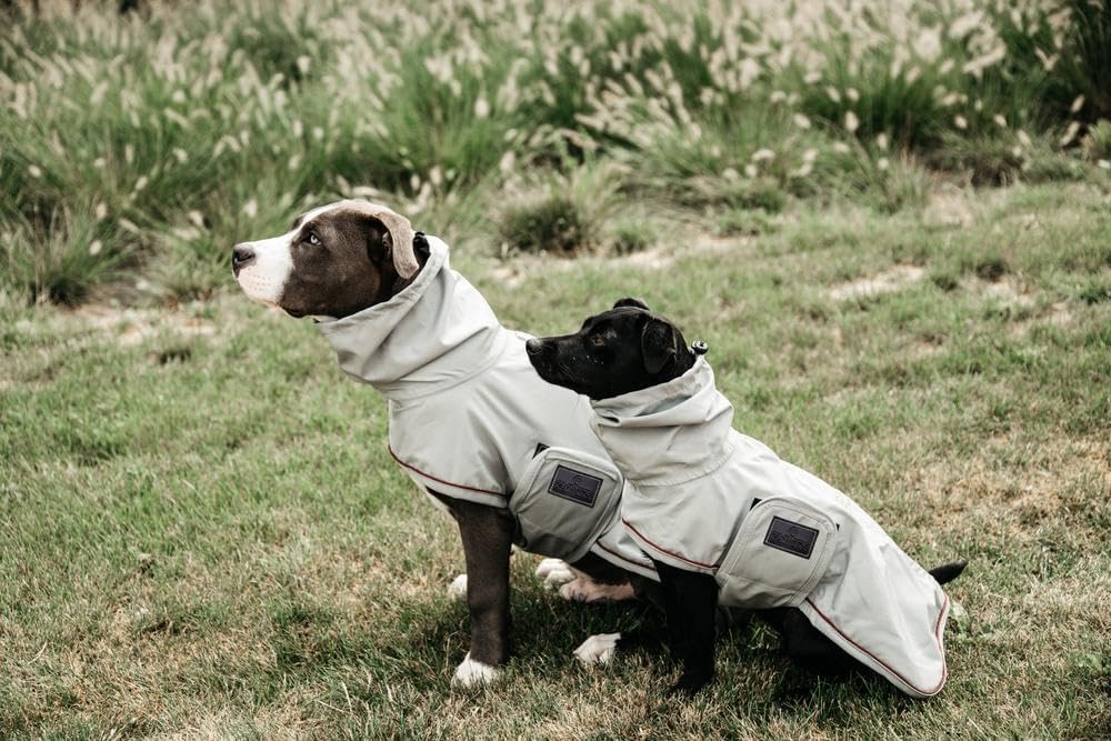 Kentucky Hunde Regenjacke Farbe Reitbekleidung Dusty Blue, Grösse S S dusty blue, S dusty blue
