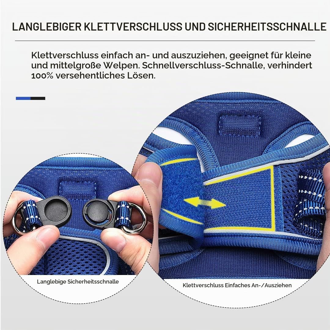 Suredoo Hundegeschirr mit Leine Anti Zug Geschirr Reflektierend Brustgeschirr für Kleine Hunde, Haus