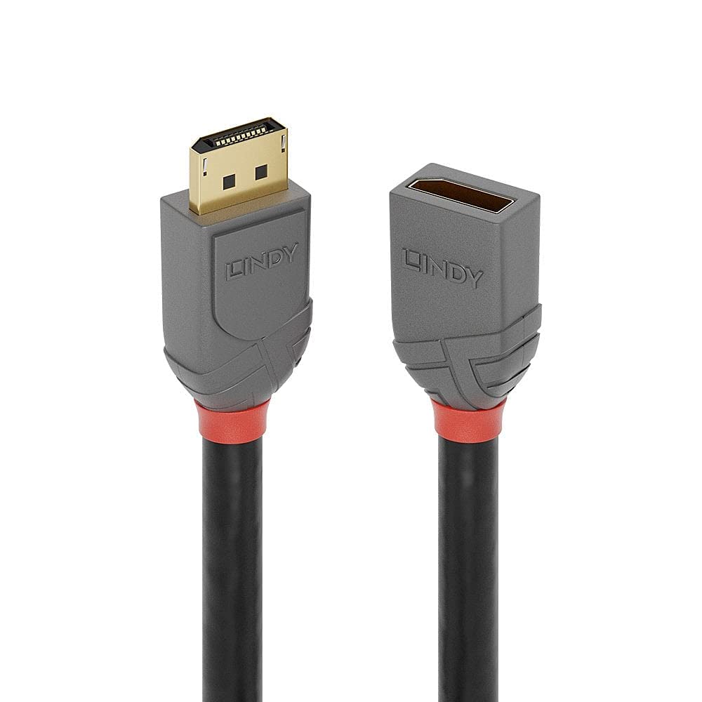 LINDY 36496 1m DisplayPort Verlängerungskabel, Anthra Line