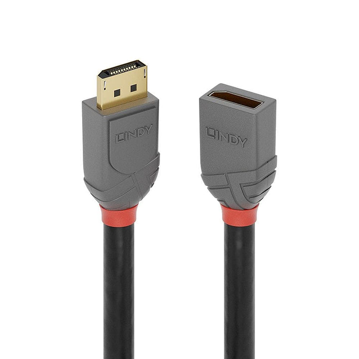 LINDY 36496 1m DisplayPort Verlängerungskabel, Anthra Line