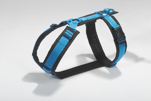 anny-x Brustgeschirr Fun schwarz blau - Gr. XS