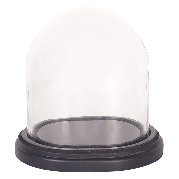 Clayre & Eef Glasglocke 17 * 14 * 18 cm Transparent Holz/Glas 6GL2488