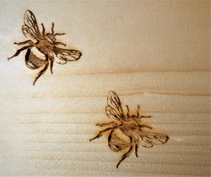 Premium Hummelkasten mit Wachsmottensperre, 2X Sichtfenster und Nistmaterial Wetterfest Bienenhaus H