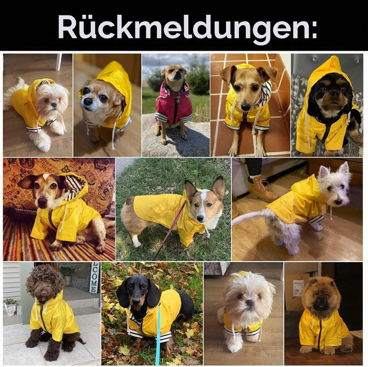 MOREZI Hunderegenmantel, mit reflektierenden Knöpfen und Reissverschlüssen, Wind- und regendicht, Ve