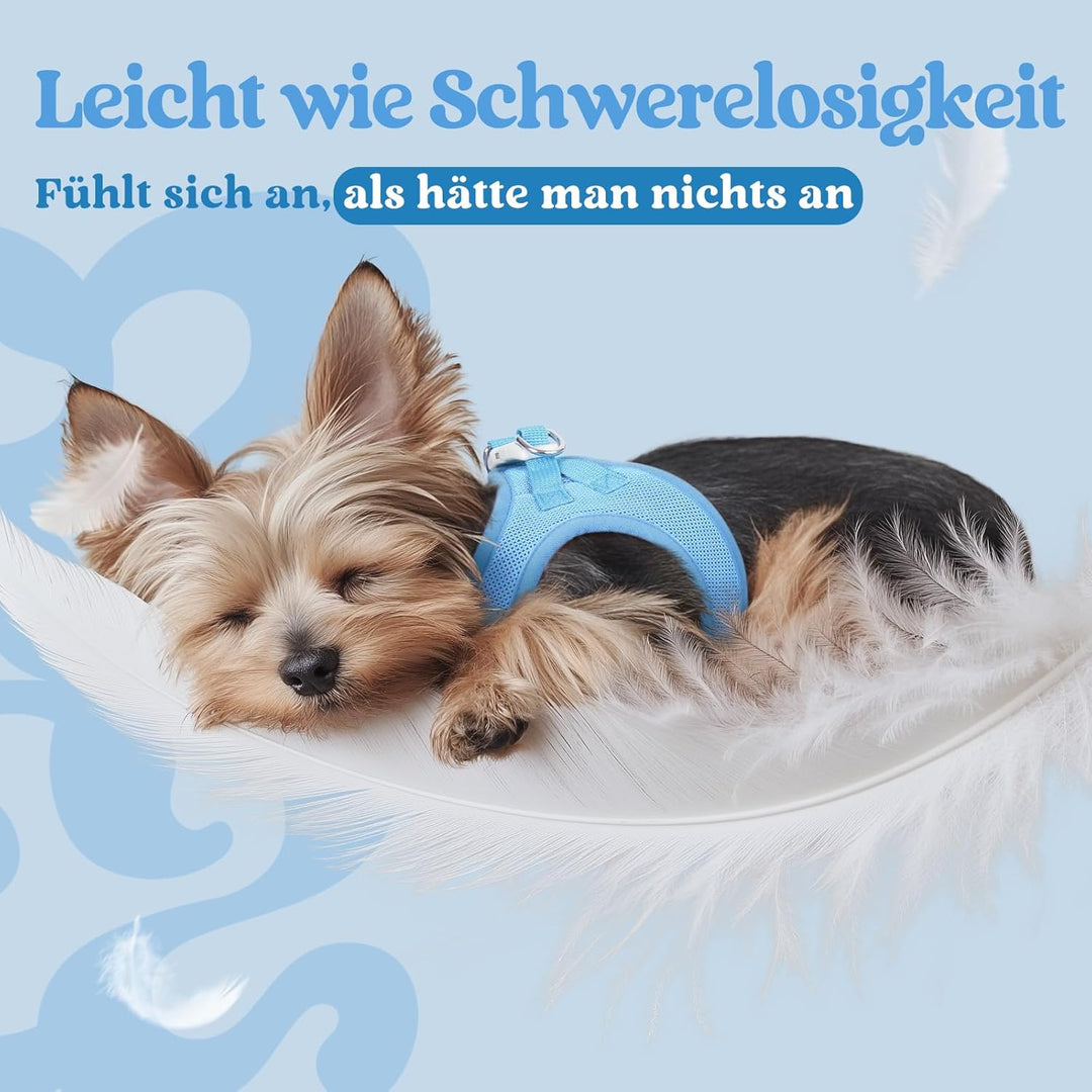 rabbitgoo Hundegeschirr Kleine Hunde, Step-in Welpengeschirr Weich Mesh für Spaziergänge, Atmungsakt