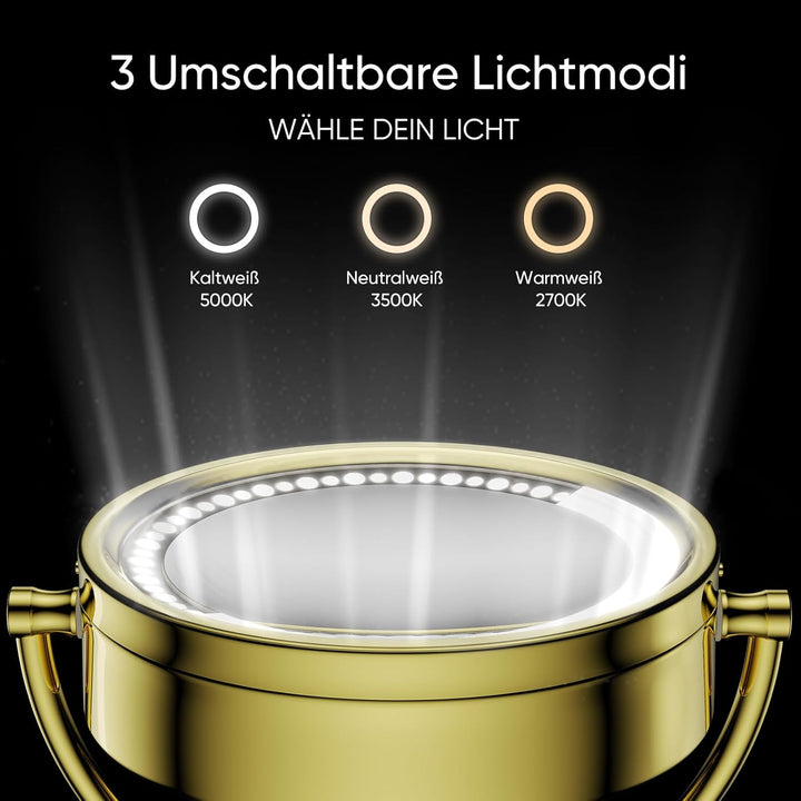 DOWRY Schminkspiegel mit Beleuchtung Wandmontage Led Kosmetikspiegel mit Vergrösserung 10 Fach Doppe