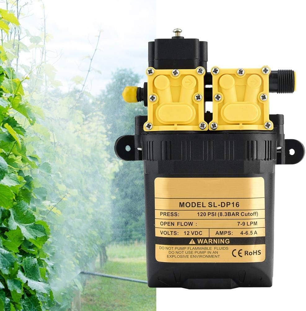 Duokon Elektrische Landwirtschafts-Wasserpumpe mit hohem Druck der Wasserpumpe mit hohem Druck von D