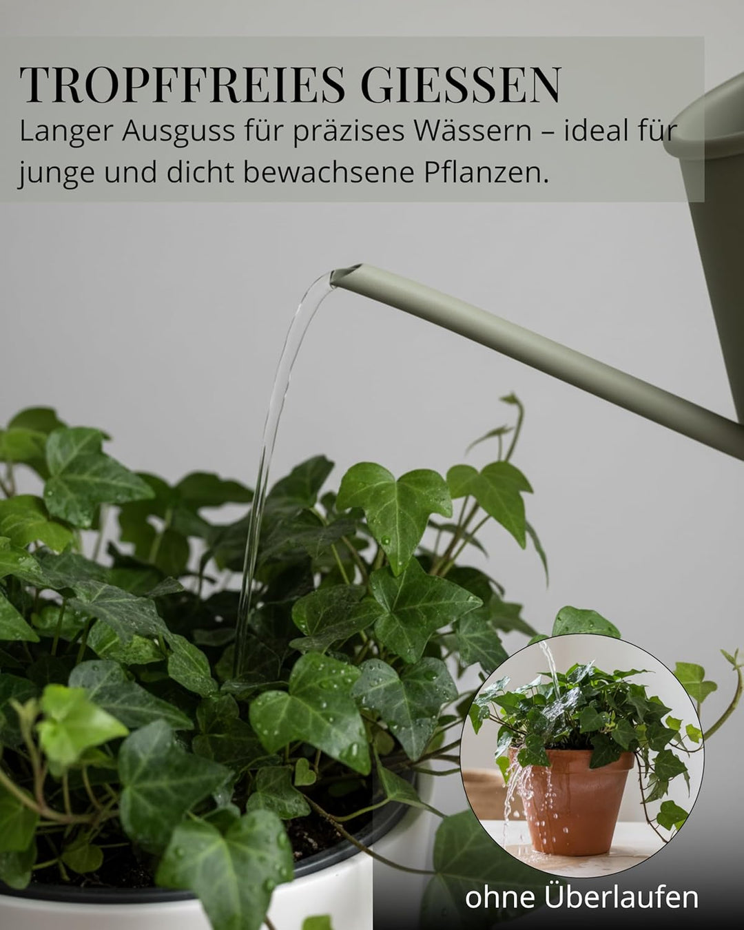 Livlig53 Giesskanne 1L, Giesskanne Zimmerpflanzen, Blumengiesskanne mit extra langem Ausguss, Giessk