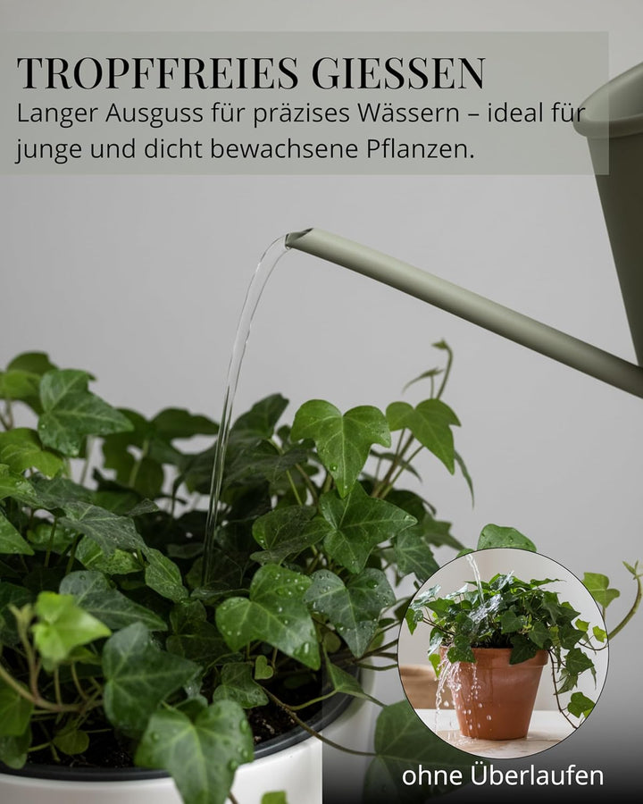 Livlig53 Giesskanne 1L, Giesskanne Zimmerpflanzen, Blumengiesskanne mit extra langem Ausguss, Giessk