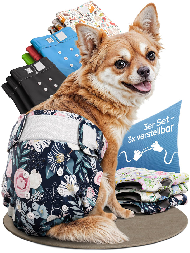 HUND IST KÖNIG Hundewindeln für Hündinnen (3 Stück) - Hochabsorbierende Läufigkeitshose für Hündinne