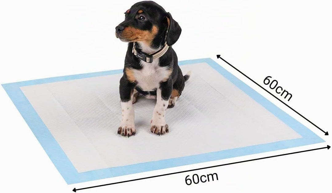 lionto Welpenunterlage Trainingspads Hygieneunterlage für Hunde auslaufsicher 6-lagig, 60x60 cm, 100