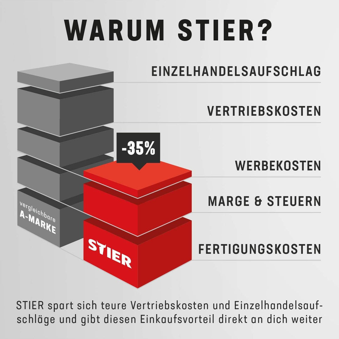STIER Mini-Polier-Satz MP-25, Länge 130 mm, 6-teilig, verschiedene Polierscheiben, ideal für detaill