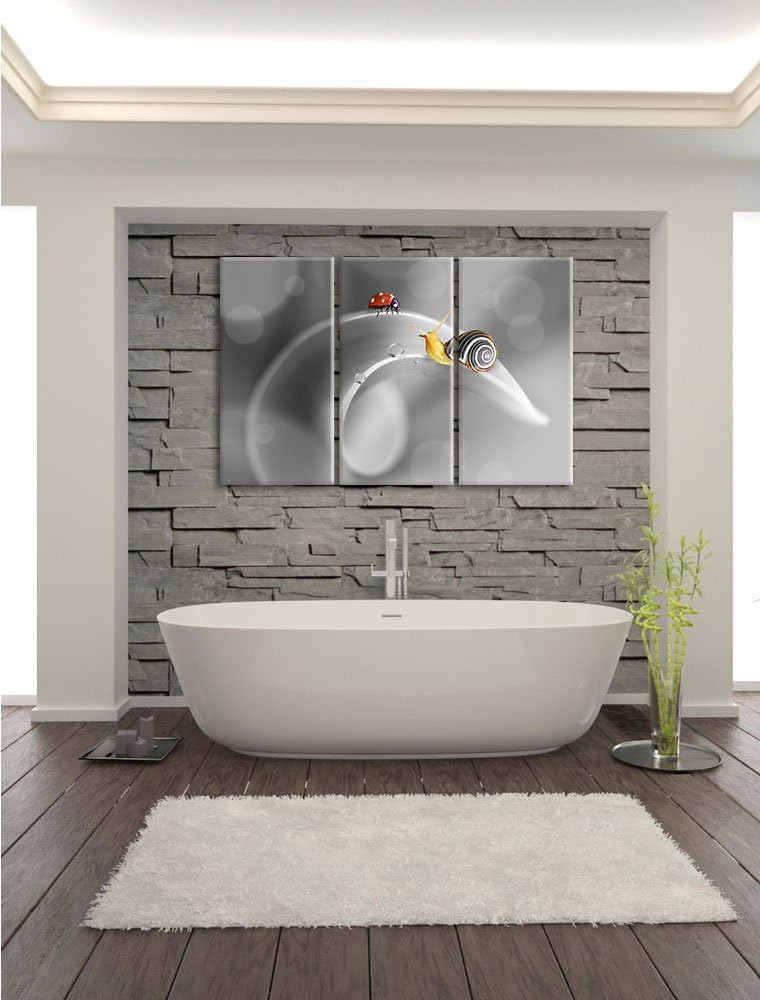 Pixxprint eine Schnecke und Marienkäfer auf Einer Pflanze B&W Detail 3-Teiler Leinwandbild 120x80 Bi