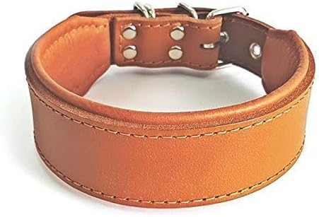 Bestia™ "Classic Echtleder Hundehalsband. 100% Leder. Weich gepolstert. TOP Qualität! XL- Halsumfang