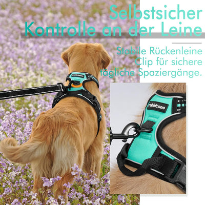 rabbitgoo Hundegeschirr Mittelgrosse Hunde Anti Zug Geschirr Hund mit Kontrolle No Pull Verstellbar